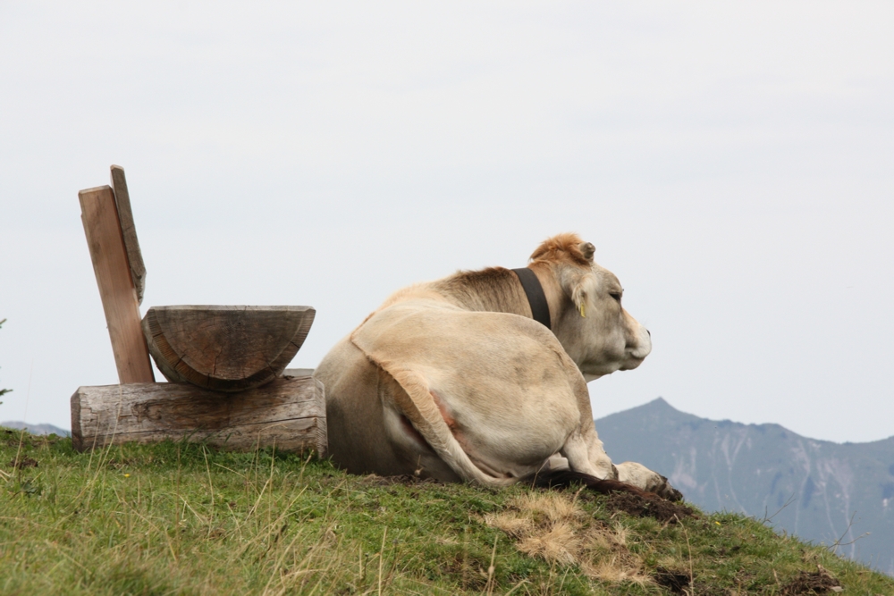 Mittagspause am Loischkopf