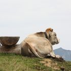 Mittagspause am Loischkopf