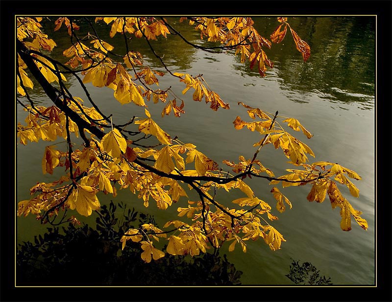 Mittagspause an der Isar (III)