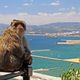 Mittagspause auf Gibraltar