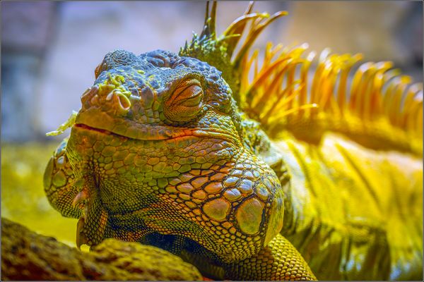 Mittagspause eines Philosophen