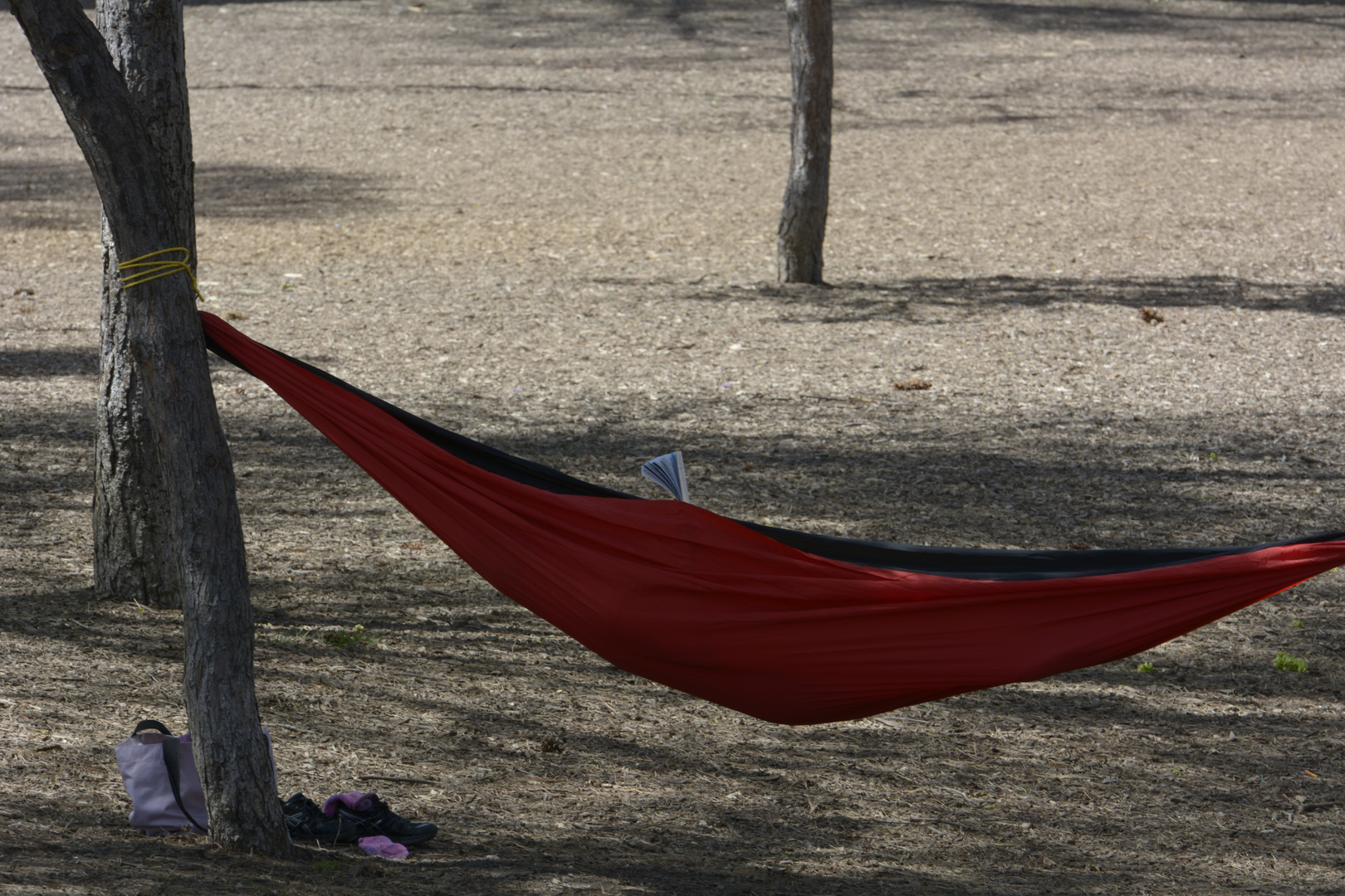 mittagspause im central park, new york