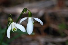 Mittagspause im Palmengarten (16)