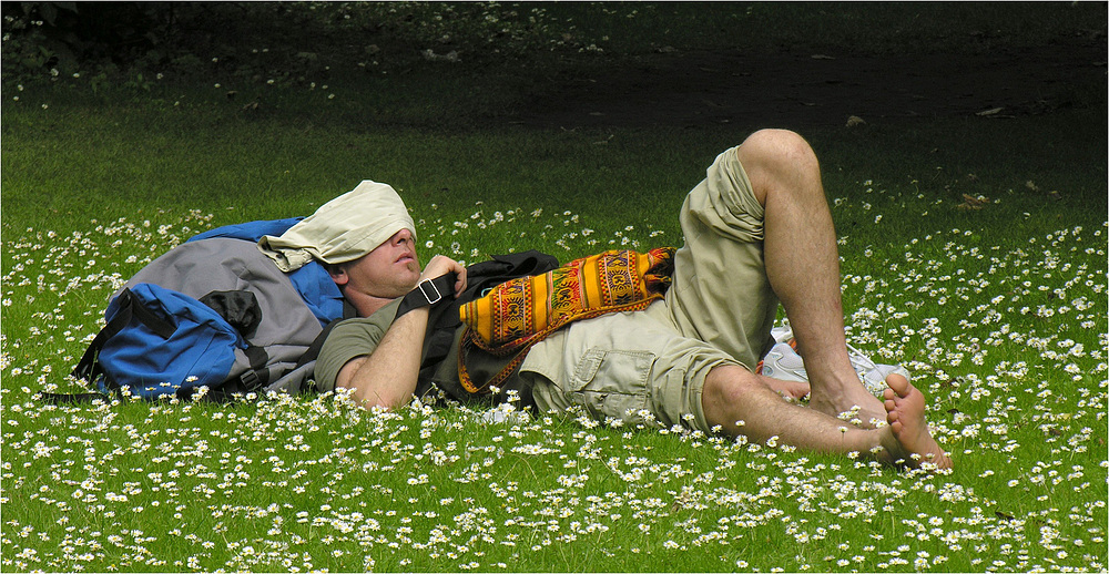 Mittagspause im Park