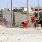 Mittagspause im Sandsturm