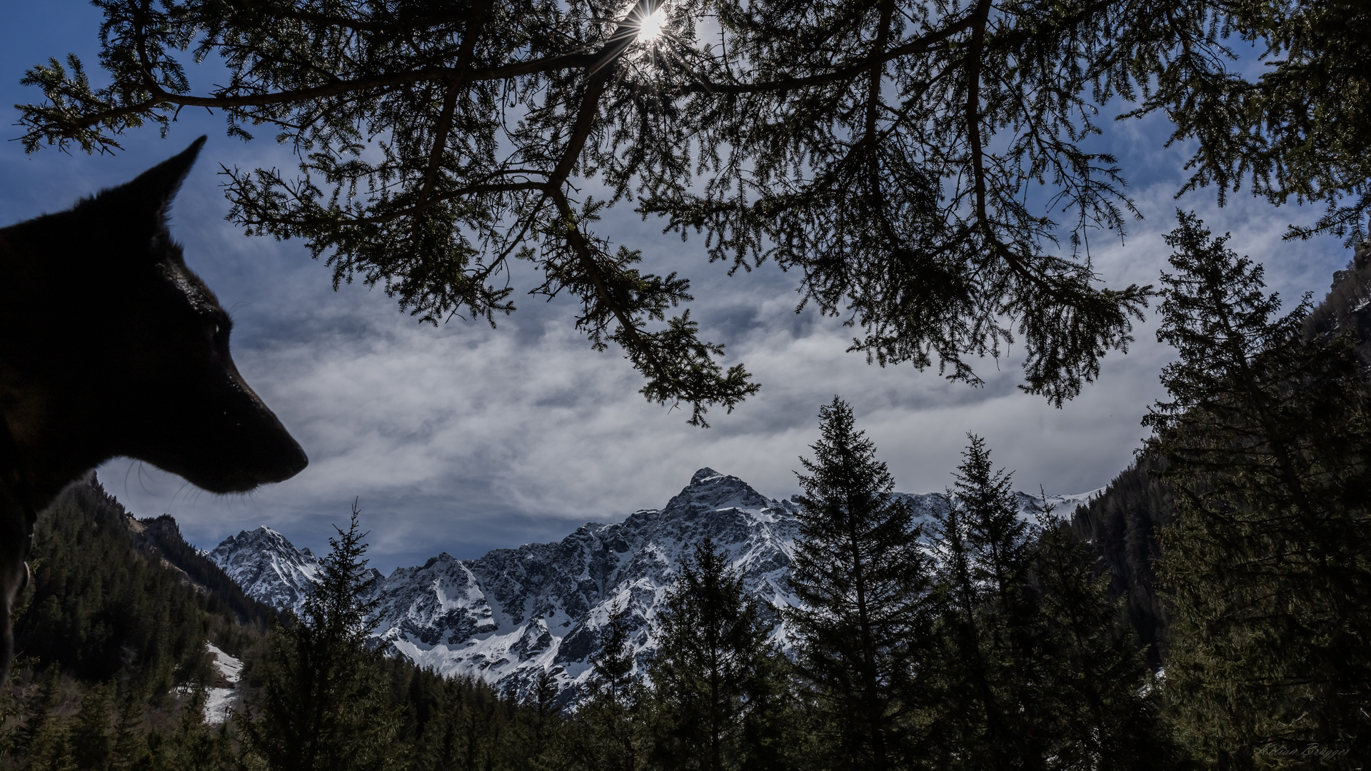 Mittagspause im Schatten