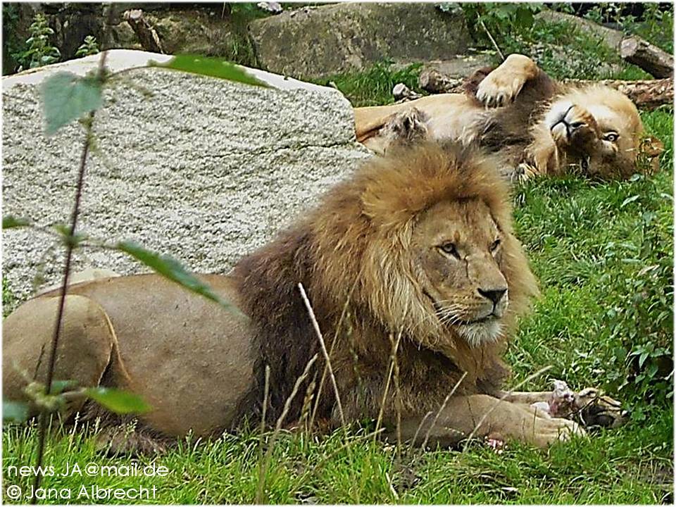 Mittagspause im Tierpark Hellabrunn, München