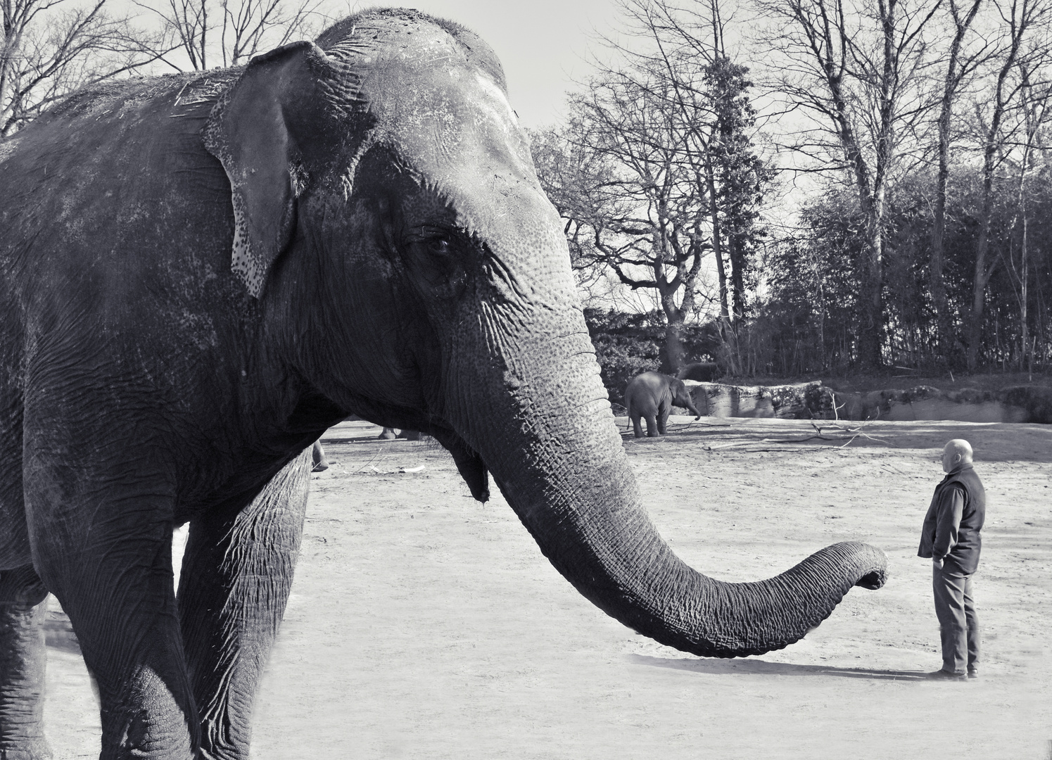 Mittagspause in Hagenbeck