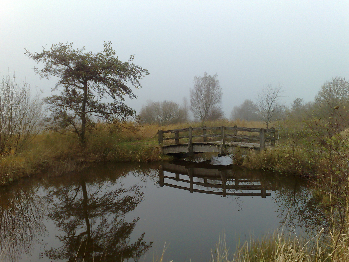 Mittagspause in klein Asien