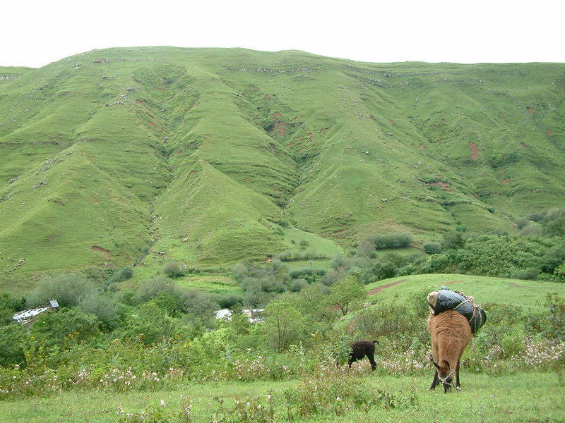 Mittagspause in San Bernardo