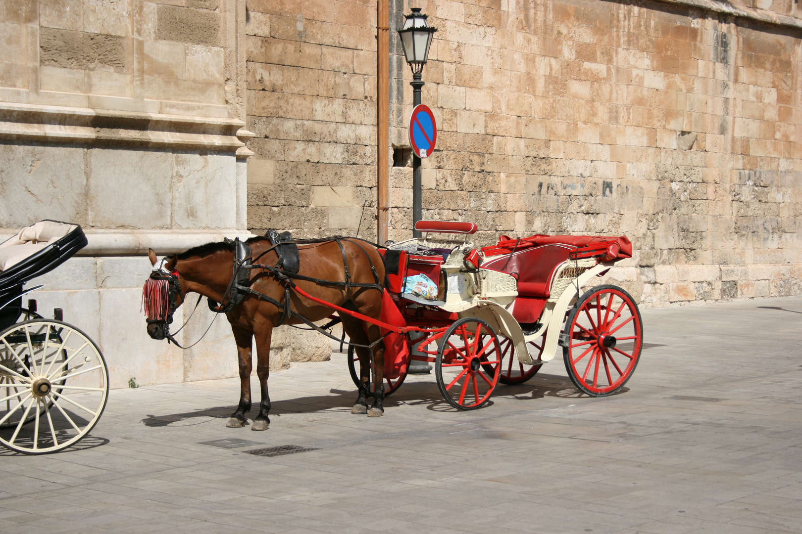 Mittagspause.... Palma Sommer 2014