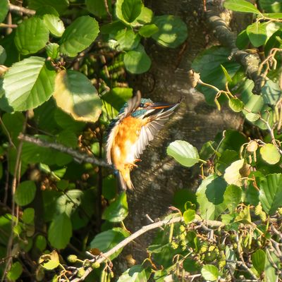 Mittagspausen-Besuch