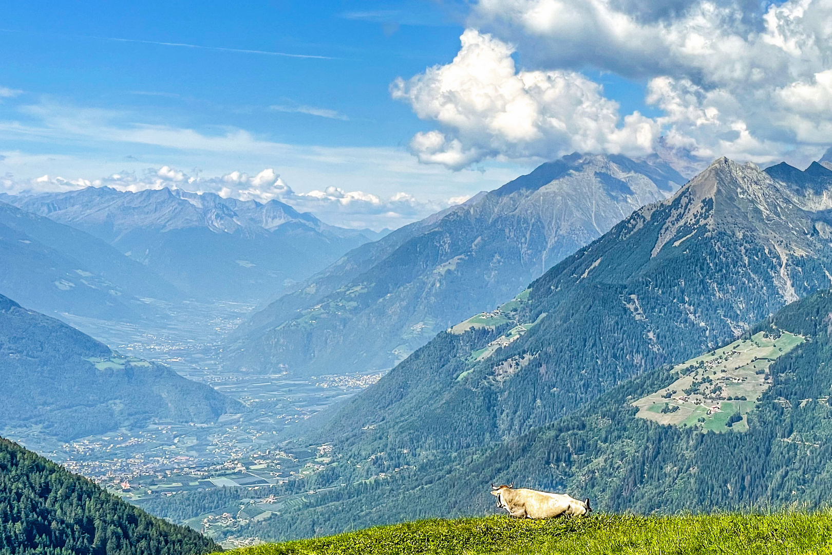 Mittagsrast mit Alpenpanorama