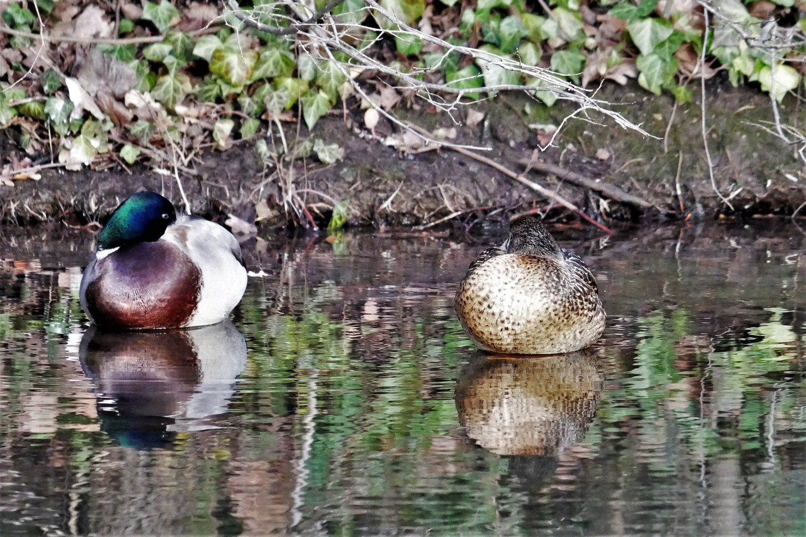 Mittagsruhe