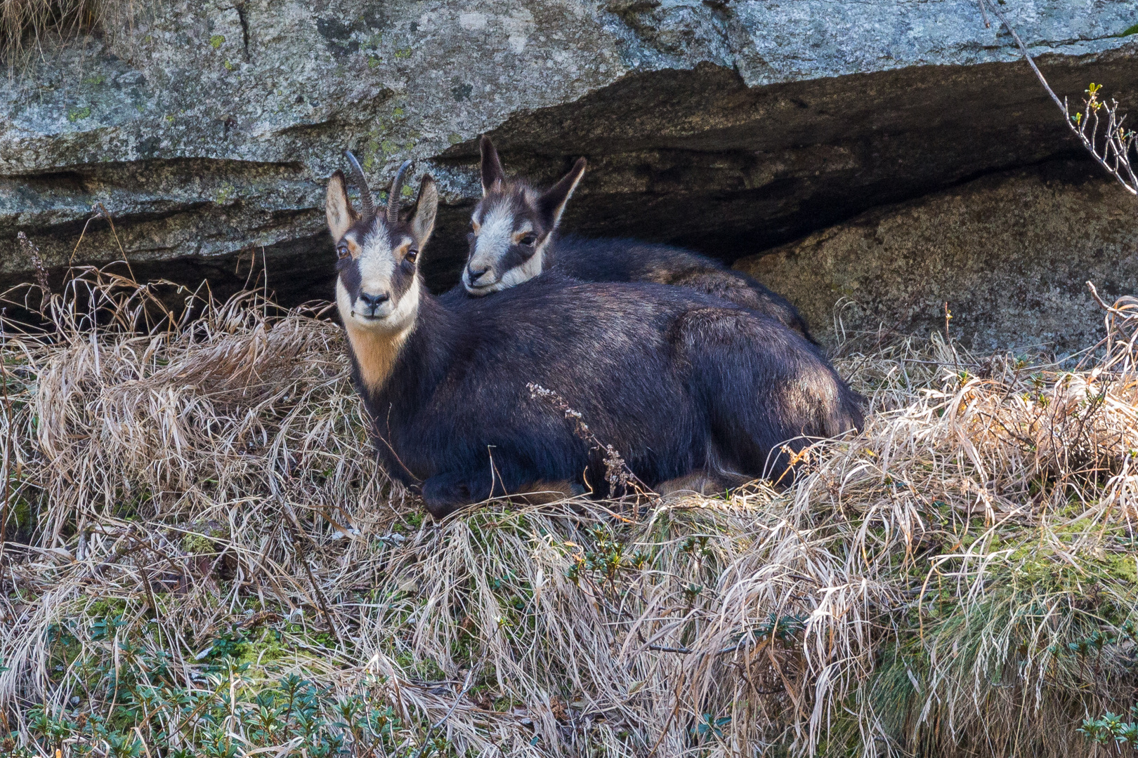 Mittagsruhe