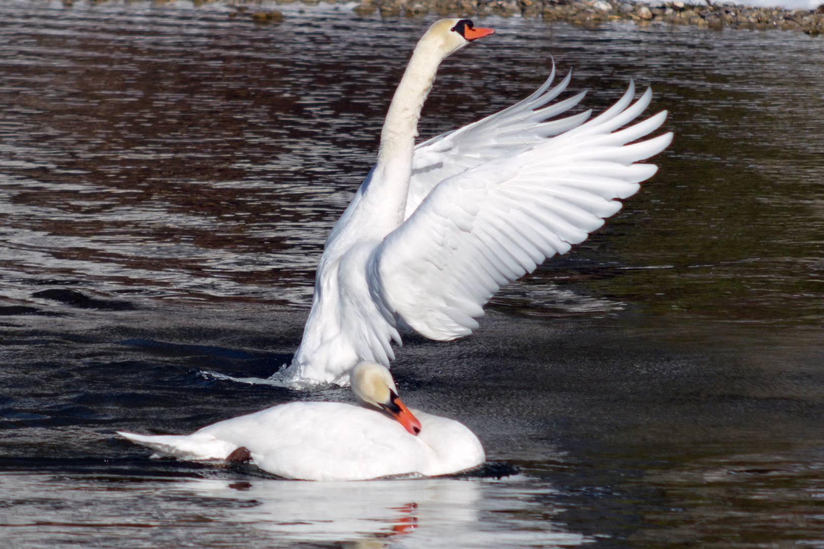 Mittagsruhe