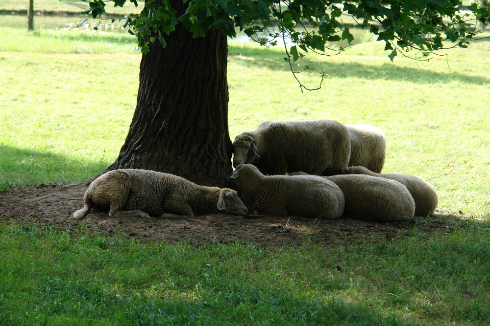 Mittagsruhe