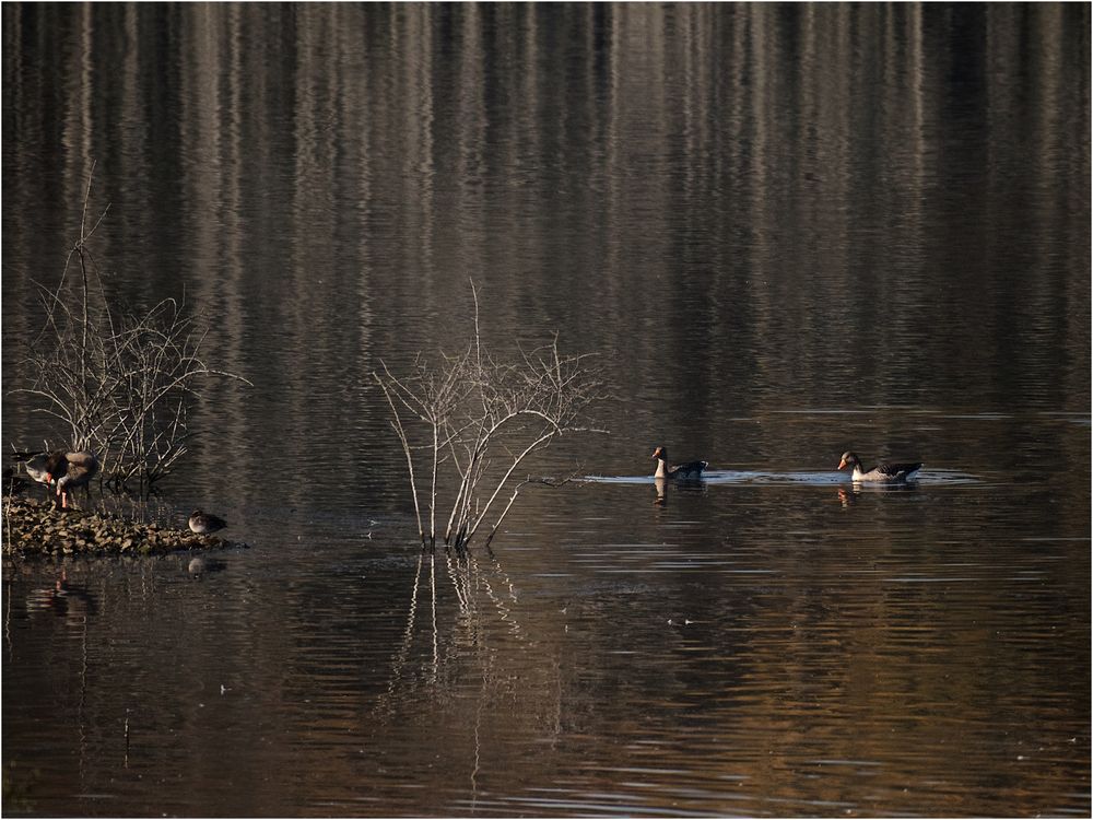 Mittagsruhe am See