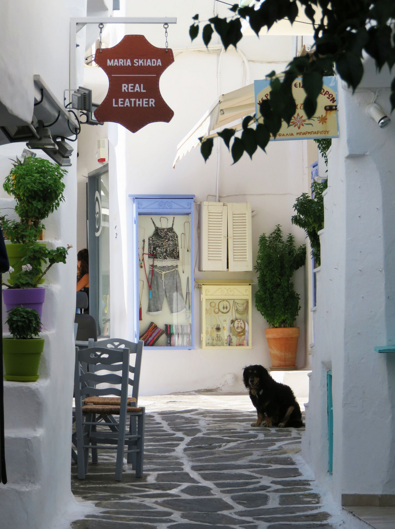 Mittagsruhe auf Paros