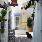 Mittagsruhe auf Paros