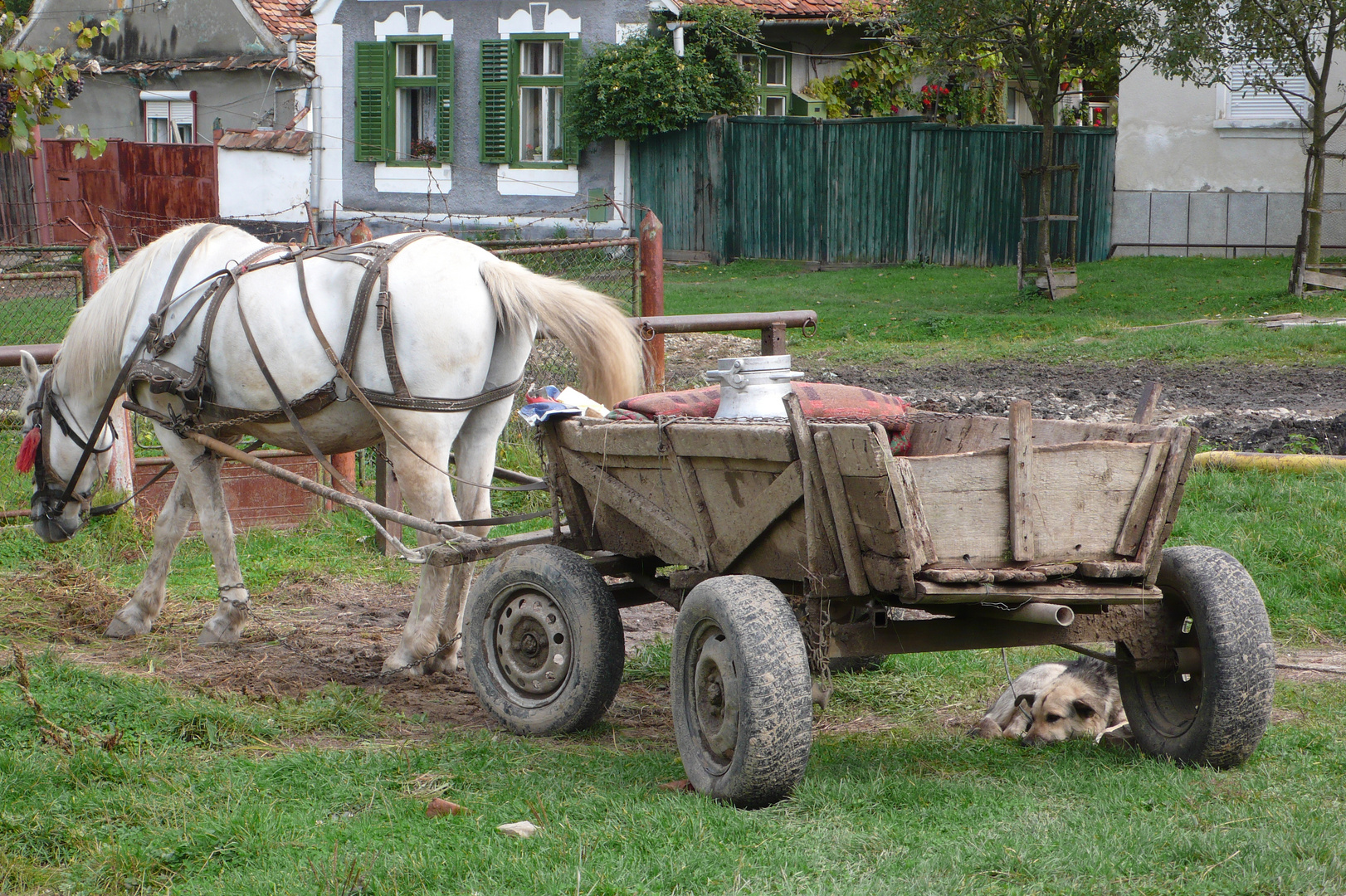 Mittagsruhe