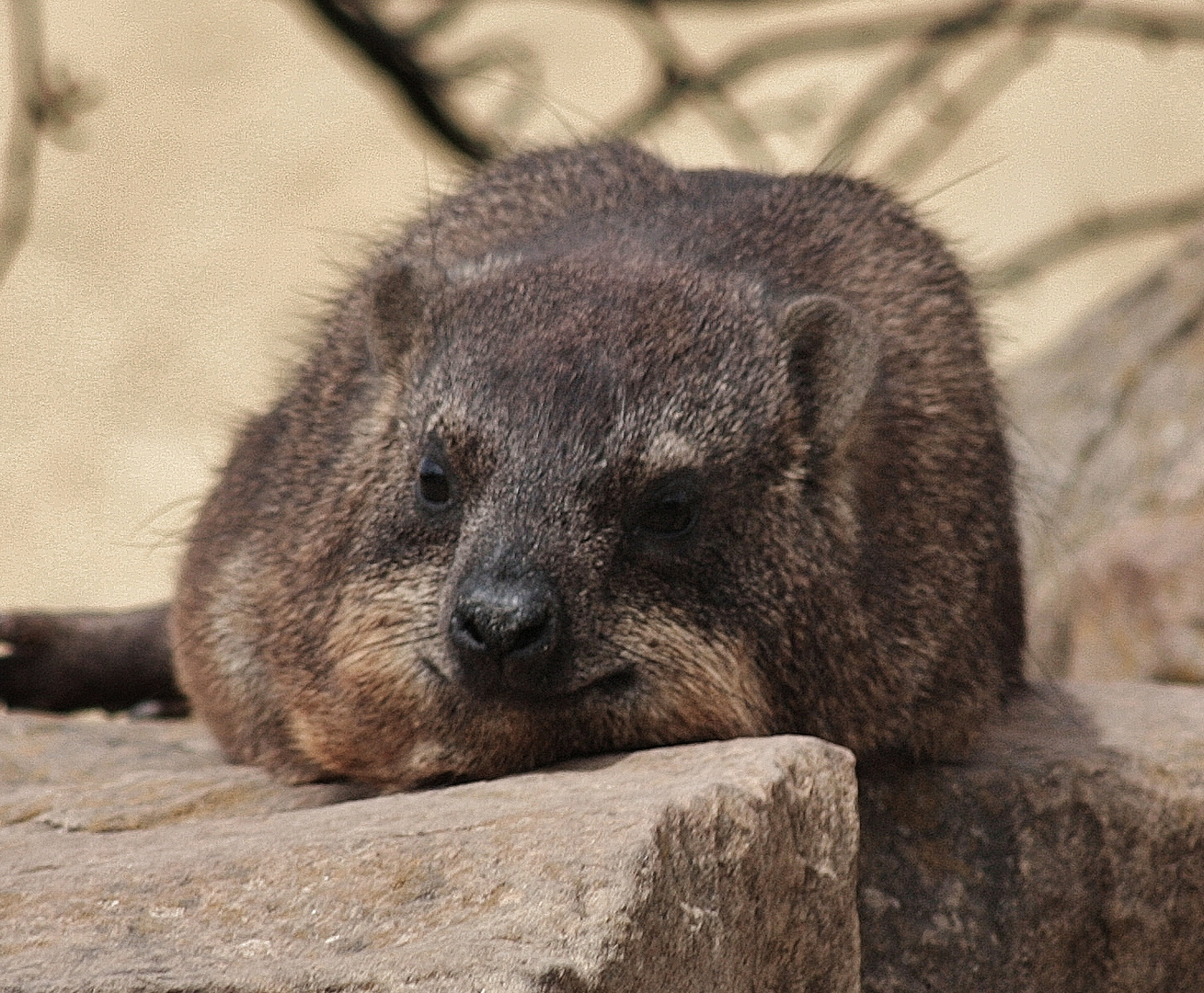 Mittagsruhe