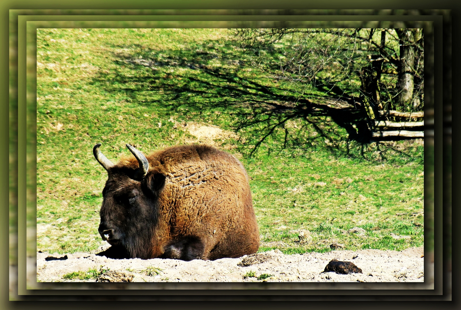 Mittagsruhe im Neandertal