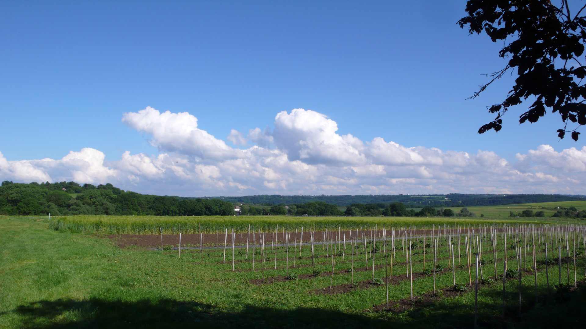 Mittagsruhe über Kettwig