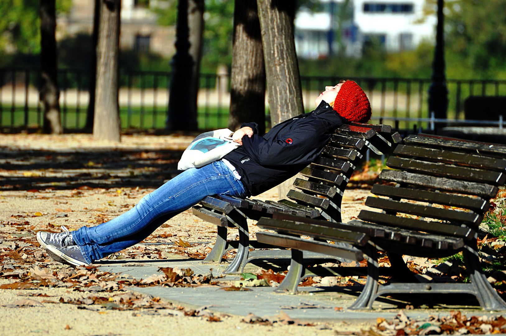 Mittagsschläfchen im Park