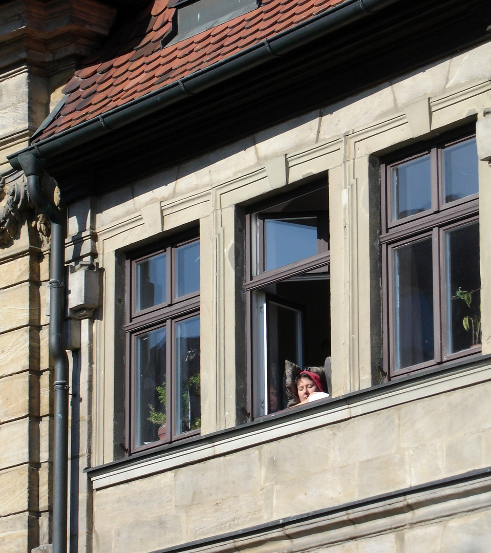 Mittagsschläfchen in der Sonne