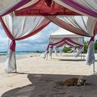 Mittagsschlaf am Strand von Süd-Bali