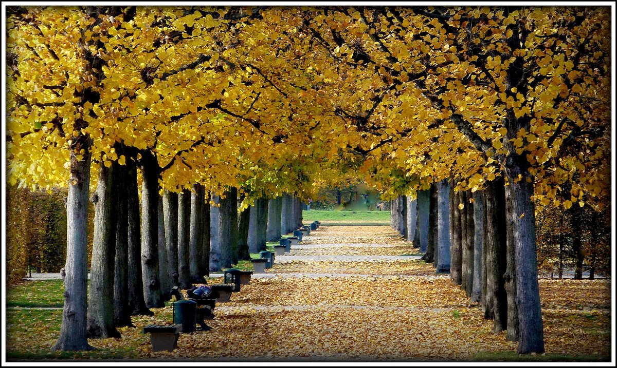 Mittagsschlaf auf der Bank Großer Garten