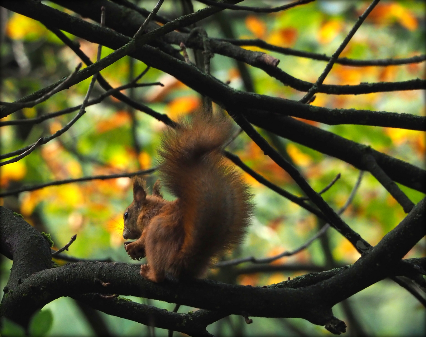 Mittagssnack vor Herbstkulisse