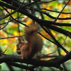 Mittagssnack vor Herbstkulisse