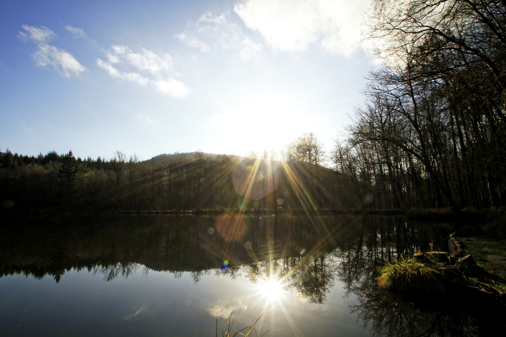 Mittagssonne am Fischweiher am 19.12.15 fotografiert.