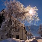 Mittagssonne in der bizarren Winterlandschaft