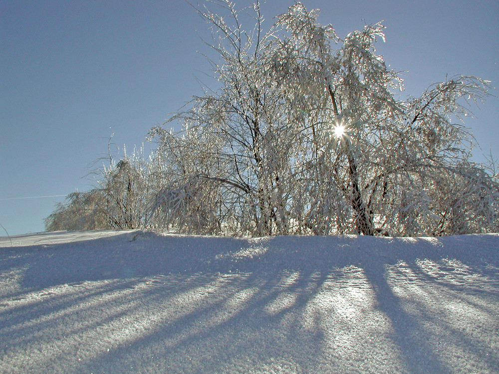 Mittagssonne und -16° C