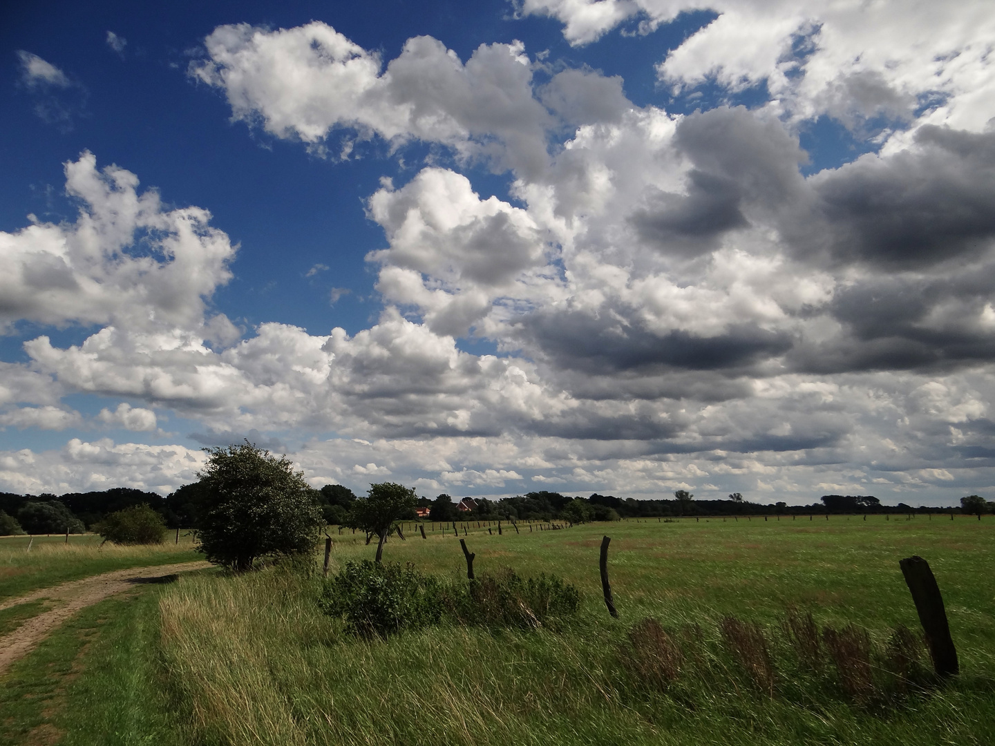 Mittagsspaziergang