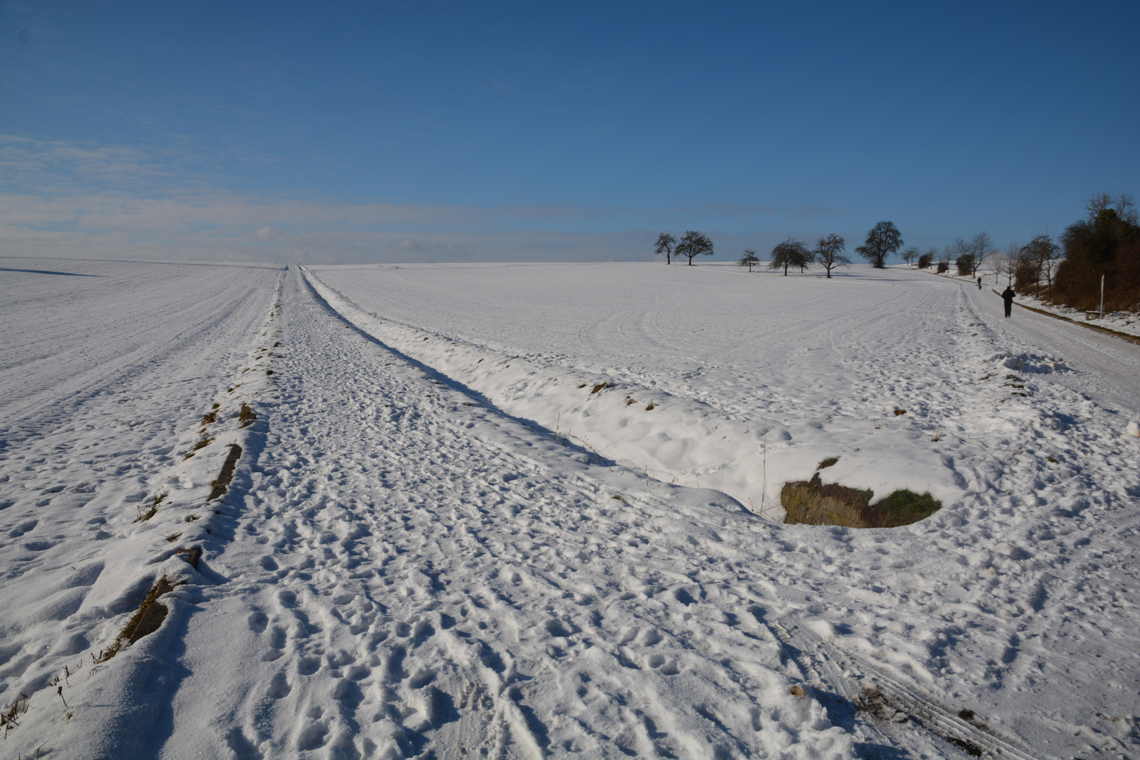 Mittagsspaziergang im Schnee