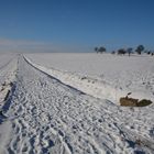 Mittagsspaziergang im Schnee