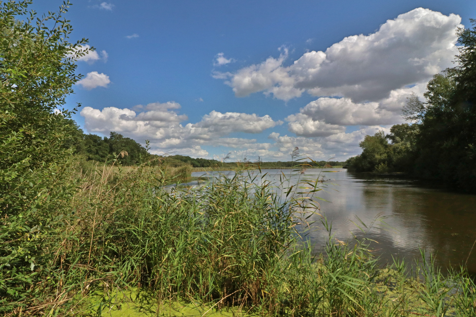 Mittagsstunde am Teich