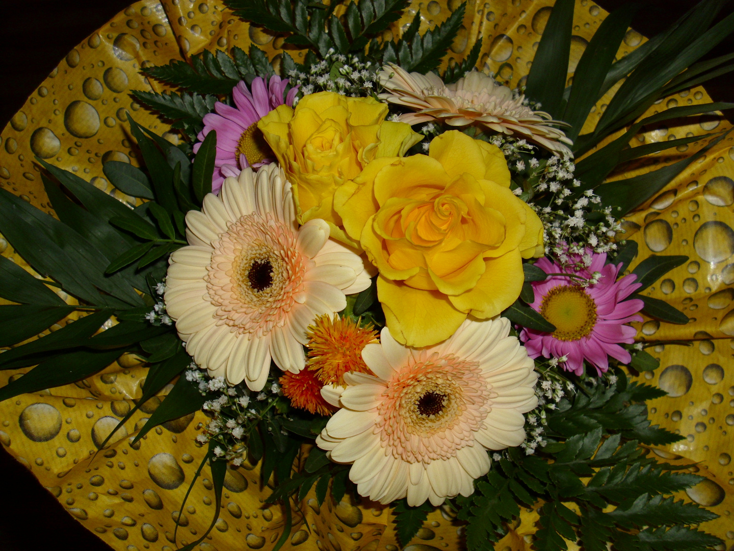 Mitte der Woche Blumen Foto & Bild natur, blumen, pflanzen Bilder auf