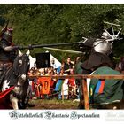 Mittelalterlich Phantasie Spectaculum Bückeburg 2009 - 05