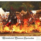 Mittelalterlich Phantasie Spectaculum Bückeburg 2009 - 06