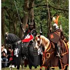 Mittelalterlich Phantasie Spectaculum Bückeburg 2009 - 11