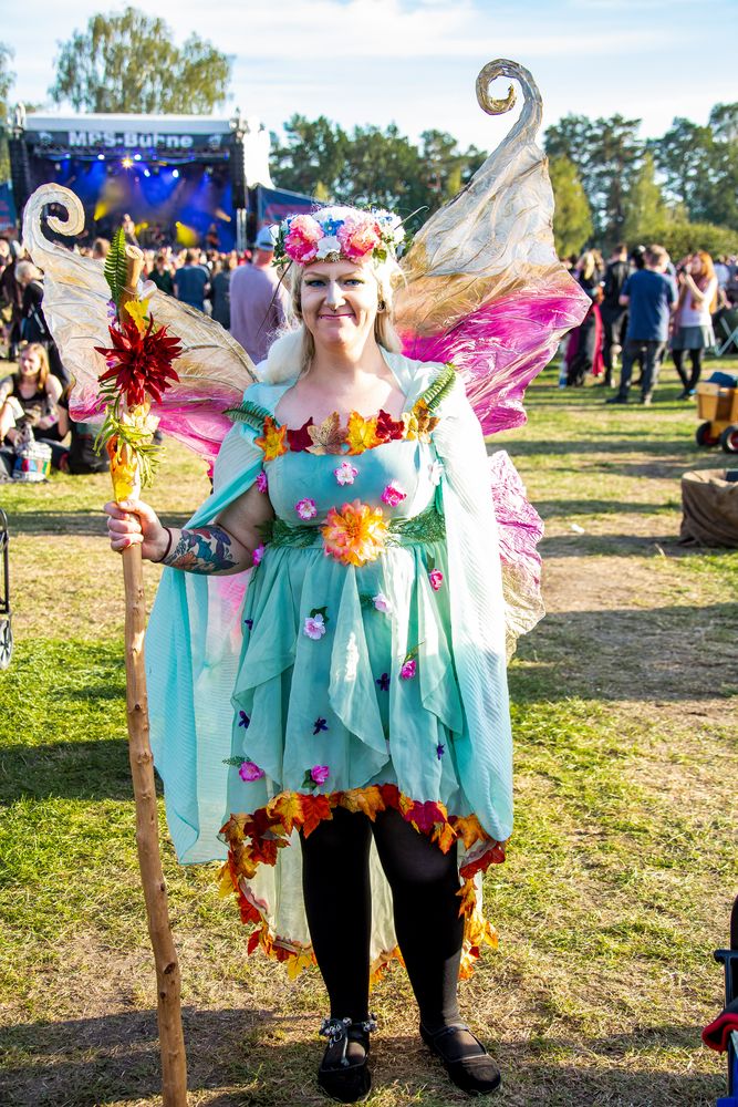 _Mittelalterlich Phantasie Spectaculum Luhmühlen 2019