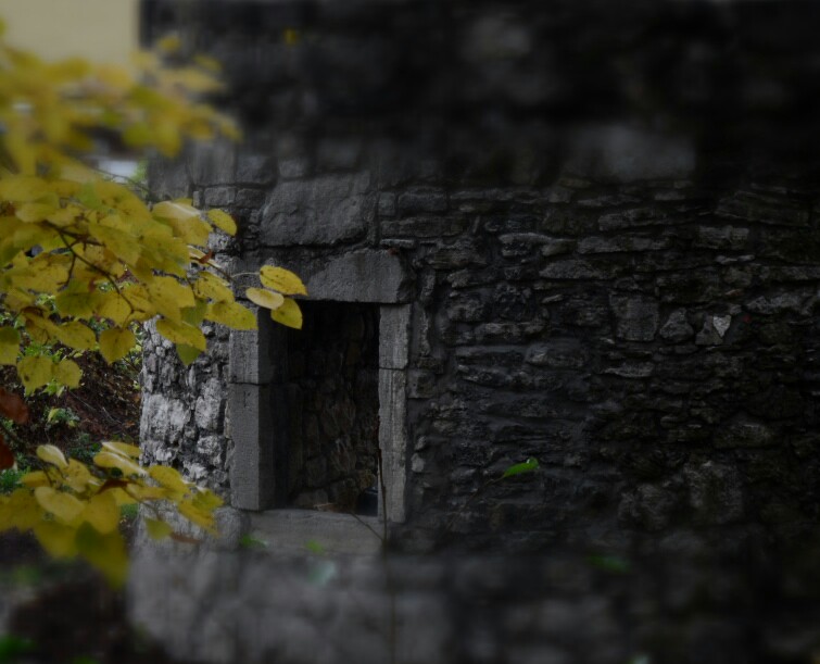 mittelalterliche ruine in meinigen