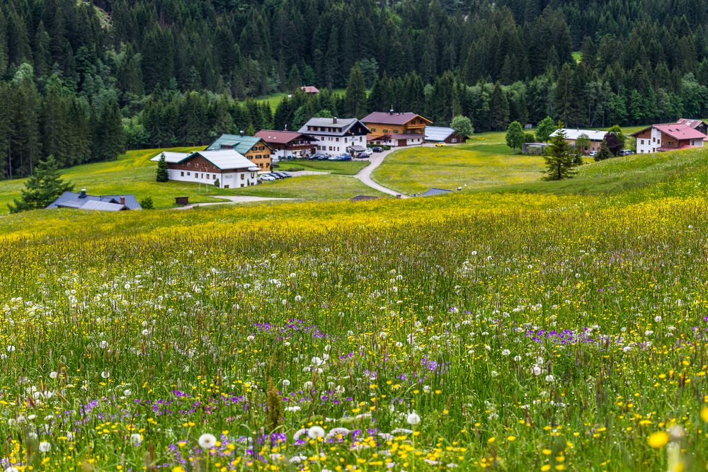 Mittelberg