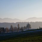 Mittelberg am Abend