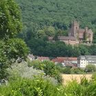 Mittelburg